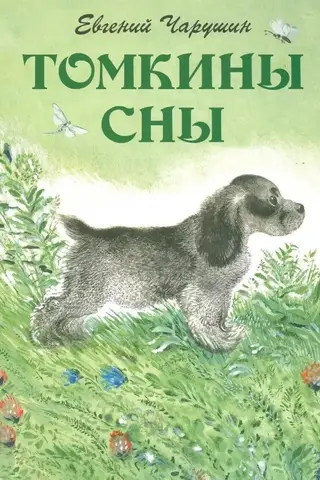 Томкины сны