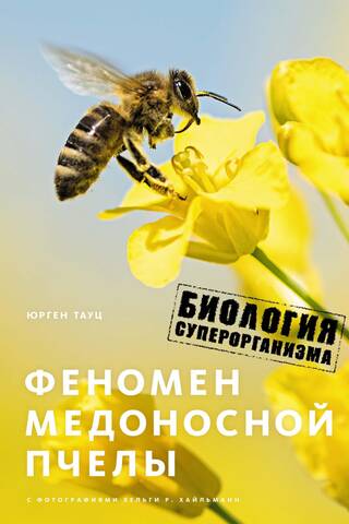 The Honey Bee Phenomenon: The Biology of a Superorganism