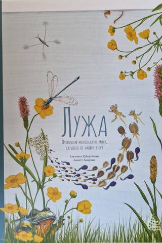 Лужа. Открываем многообразие мира, скрытого от нашего взора