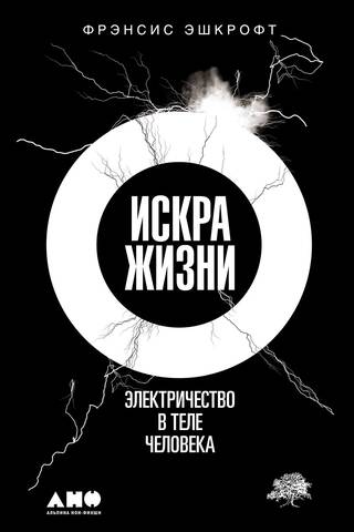 Искра жизни: Электричество в теле человека
