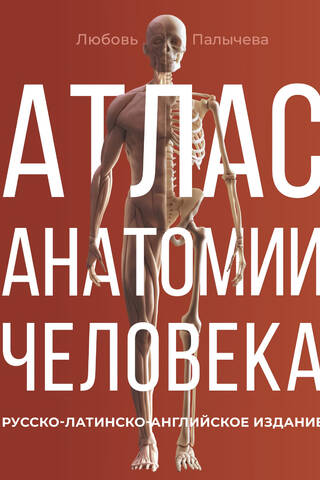 Atlas of Human Anatomy. Russian-Latin-English edition