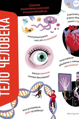 The Human Body: The Ultimate Anatomical Encyclopedia