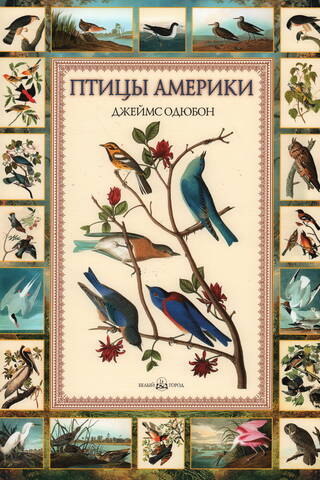 Birds of America