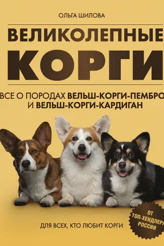 Великолепные корги. Все о породах вельш-корги-пемброк и вельш-корги-кардиган