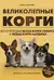 Великолепные корги. Все о породах вельш-корги-пемброк и вельш-корги-кардиган