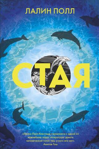 Стая