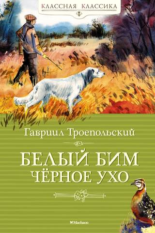Balta Bima melna auss