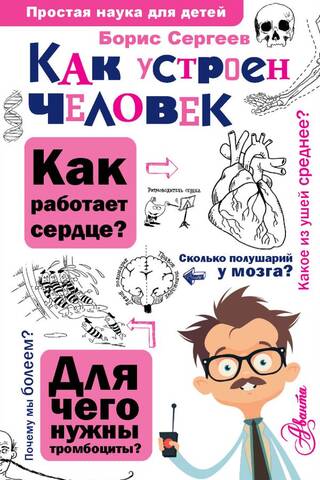 Как устроен человек