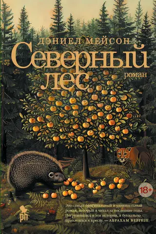 Северный лес