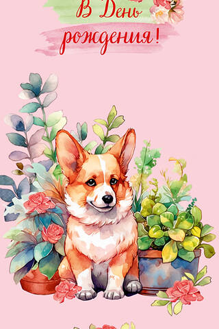 Money envelope. Happy birthday! Corgi!
