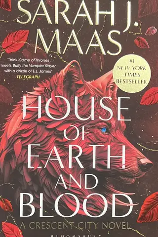 House of Earth and Blood