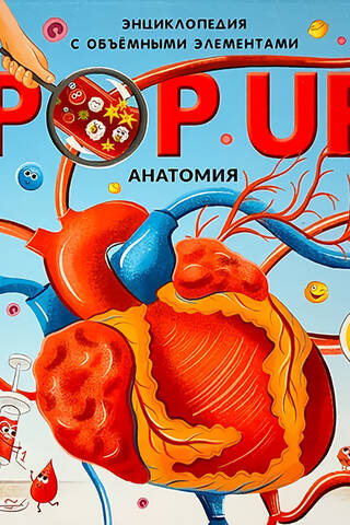 Anatomy. A panoramic book