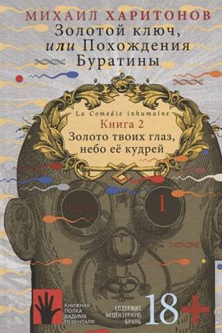 Золотой ключ, или Похождения Буратины. Книга 2. Золото твоих глаз, небо ее кудрей. Часть 1