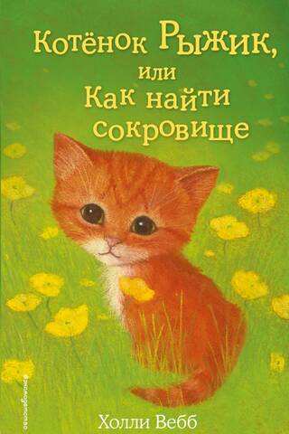 Kitten Ryzhik, or How to Find Treasure