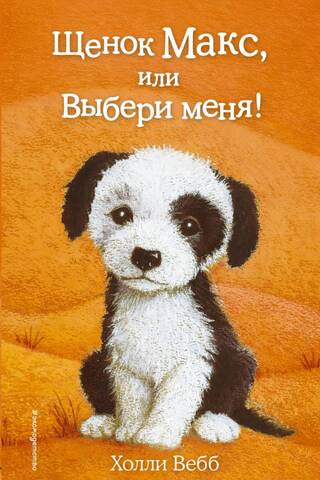Puppy Max, or Choose me!