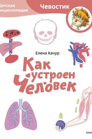 How Humans Work. Children's Encyclopedia