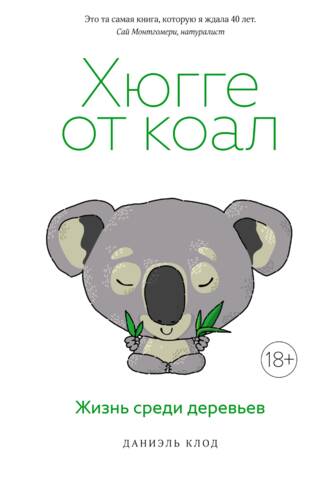 Hygge from Koalas: Life Among the Trees