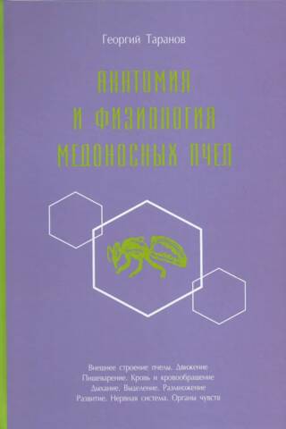 Anatomy and physiology of honey bees