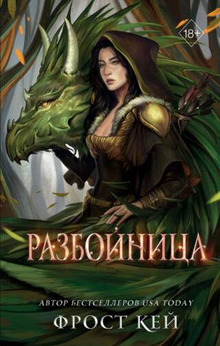 Темные королевства. Книга 5. Разбойница