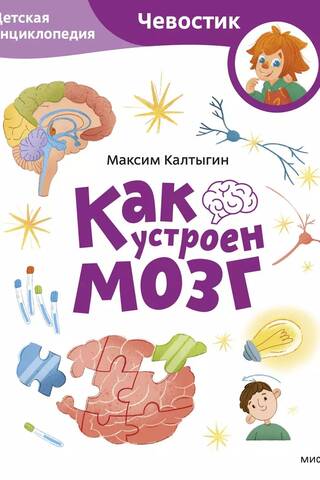 How the Brain Works: A Children's Encyclopedia