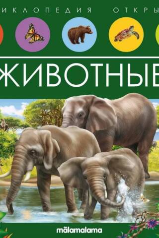 Animals