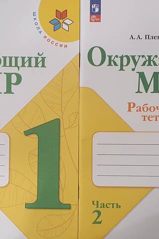 Окружающий мир. 1 класс. Рабочая тетрадь. В 2 частях