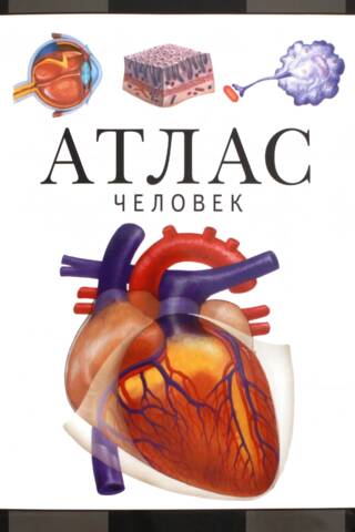 Человек. Атлас
