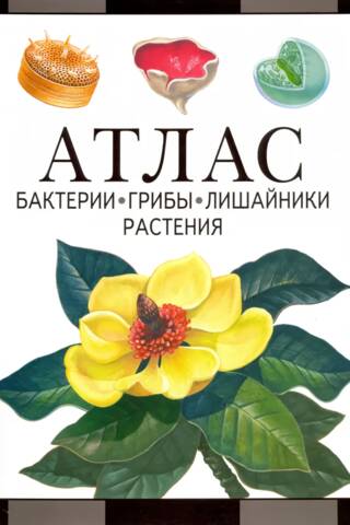 Бактерии, грибы, лишайники, растения. Атлас