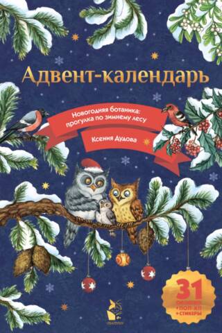 Advent Calendar. New Year's Botany: A Walk Through the Winter Forest