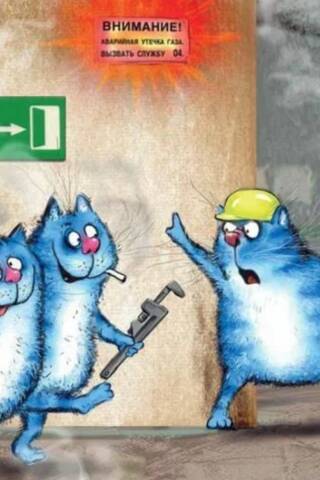 Postcard. Blue cats. Get to work!