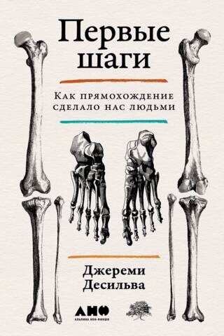 First Steps: How Walking Upright Made Us Human