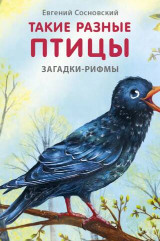 Такие разные птицы. Загадки-рифмы