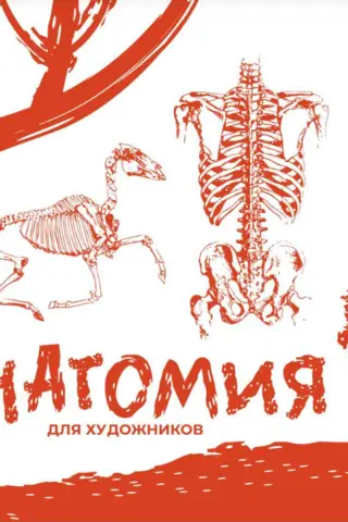 Anatomy for Artists: A Crash Course + Sketchbook