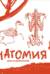 Анатомия для художников. Экспресс-курс + скетчбук