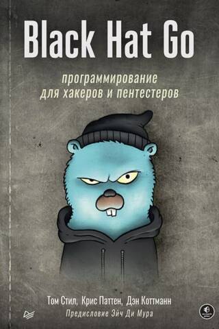 Black Hat Go: programmēšana hakeriem un ielauzējiem