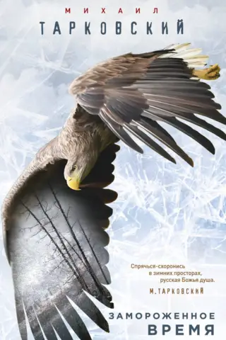 Замороженное время