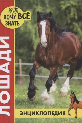 Horses. Encyclopedia