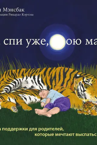 Go to sleep already, for fuck's sake! A support book for parents who dream of getting a good night's sleep.
