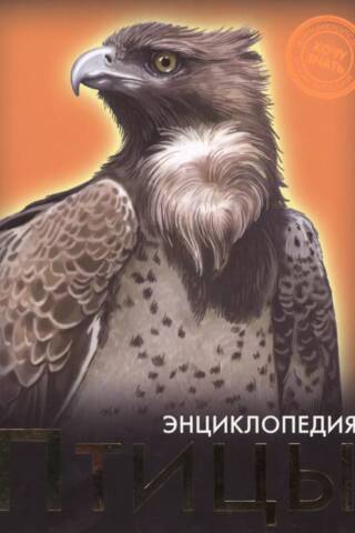 Birds. Encyclopedia
