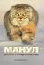 Манул. Дикий кот с суровым характером