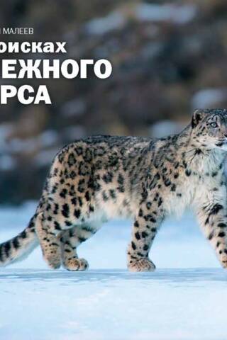В поисках снежного барса