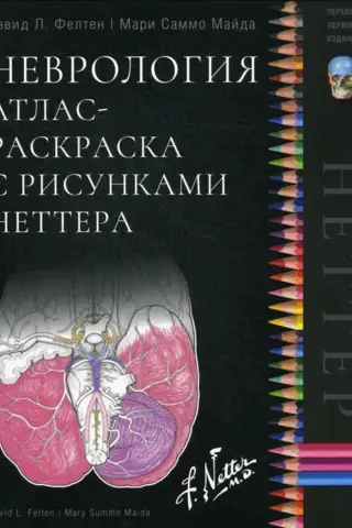 Неврология. Атлас-раскраска с рисунками Неттера
