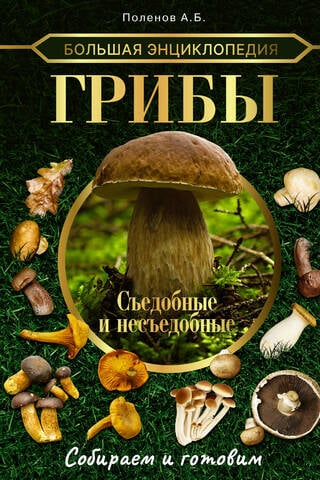 Большая энциклопедия. Грибы. Съедобные и несъедобные. Собираем и готовим.