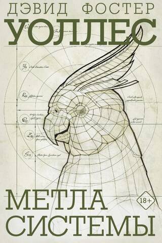 Метла системы