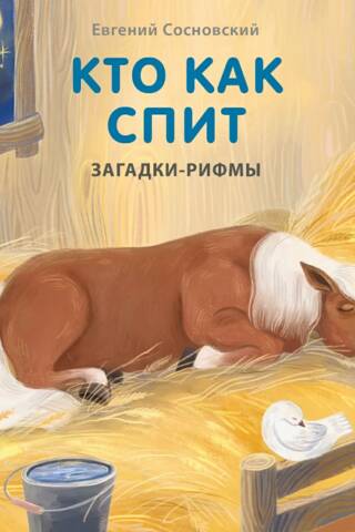 Кто как спит. Загадки-рифмы