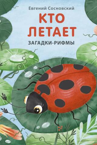 Кто летает. Загадки-рифмы