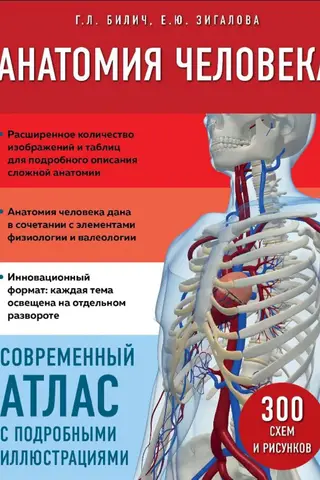 Human Anatomy: A Modern Atlas with Detailed Illustrations