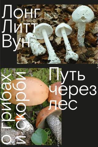 Путь через лес. О грибах и скорби