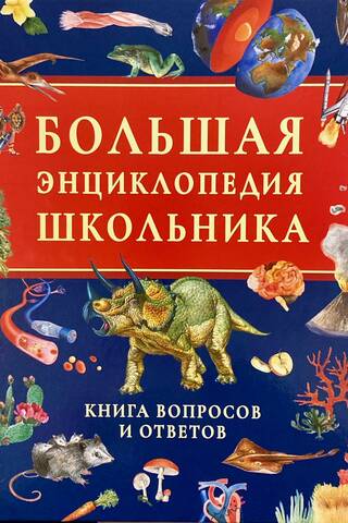 Большая энциклопедия школьника. Книга вопросов и ответов