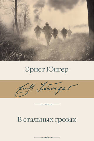 В стальных грозах